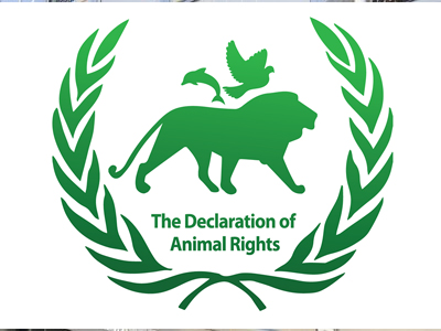 animal_rights